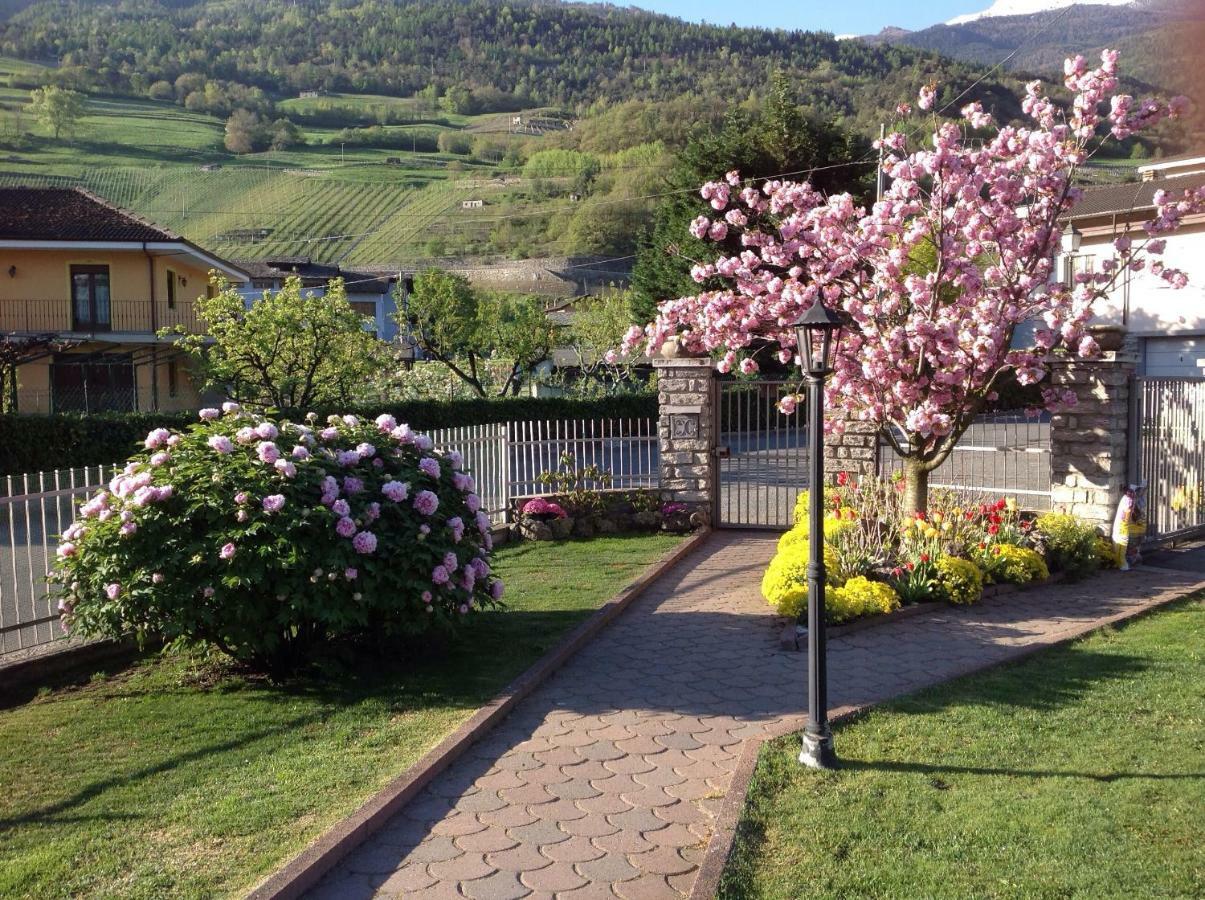 Casa Di Tia Daire Aosta Dış mekan fotoğraf